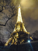 4 días en París - Blogs de Francia - jardín de luxemburgo,Notre-DamePonte,Alexandre III,Invalidos.Arco de triunfo (21)