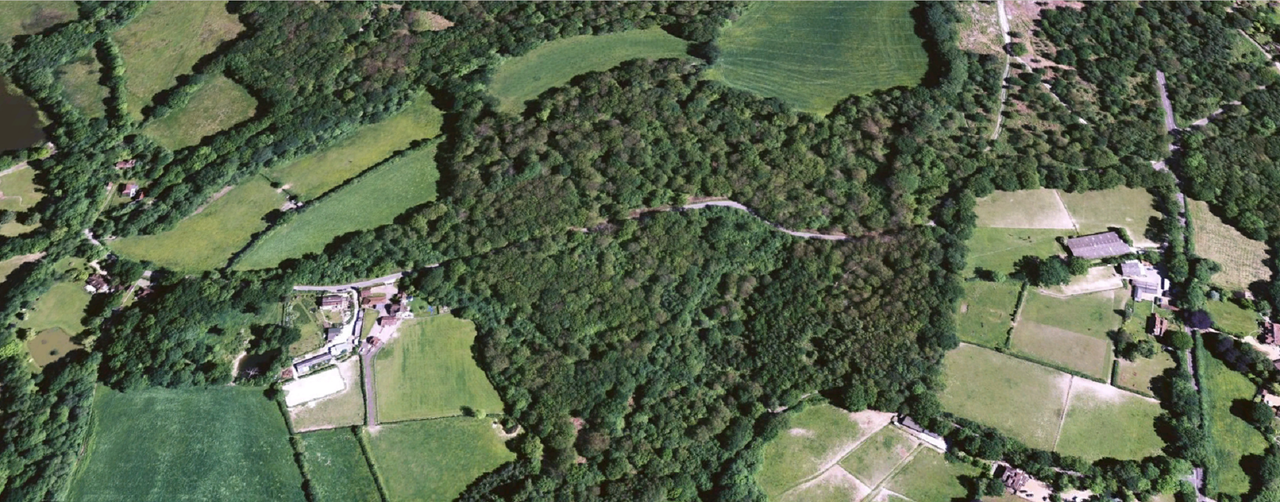 Algunas escenas de bosque se rodaron en Ashdown Forest