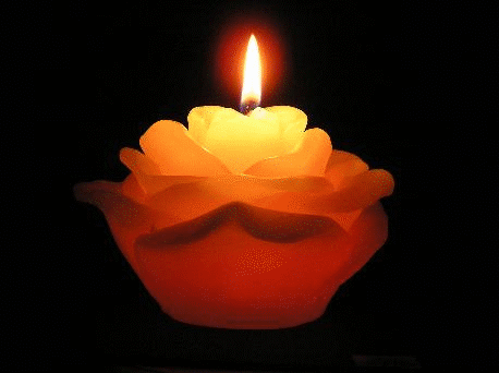 Candle ani