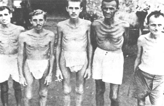 Las condiciones de inanición a las que se sometió a los prisioneros aliados por parte de los Kenpei fueron realmente dantescas. Prisioneros australianos liberados en 1944