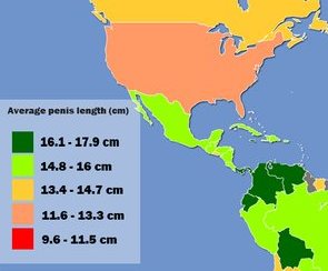 The what penis mexican is average of size a List of