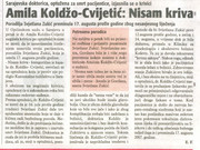 Слика