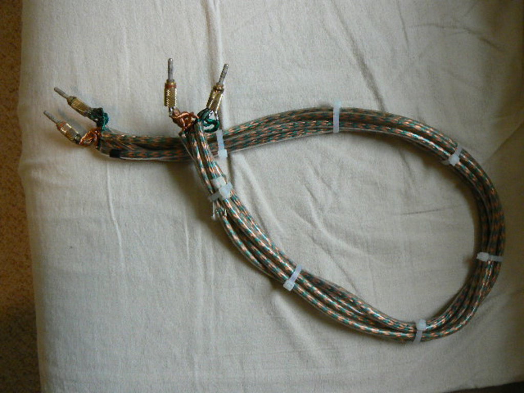 Polk Cables 001