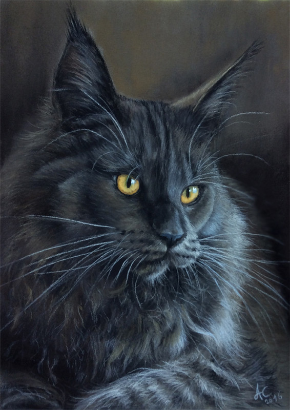 Original Pastel Painting Gray Maine Coon Cat Art Artist A ...