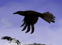 crow flying in the sky painting