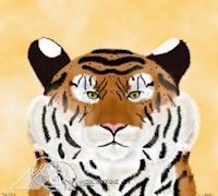wild cats tiger portrait painting