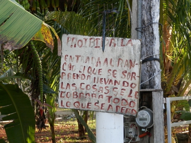 21 días por Yucatán para iniciados (en construcción) - Blogs de Mexico - El Cuyo. El tesoro escondido de la Costa Esmeralda. (5)