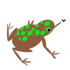 lilpad_toad.png