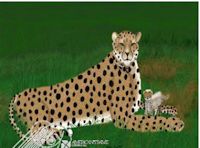 big cat cheetah with cub painting