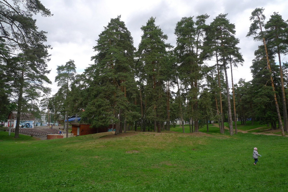 Жуковский парк. Жуковский парк культуры. Жуковский городской парк. Жуковский парк отдыха. ПКИО Жуковский.