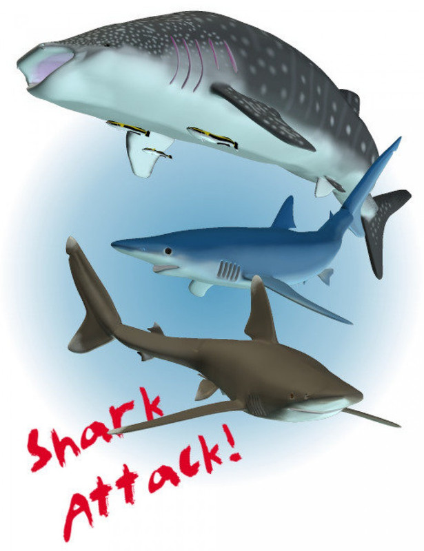 shark attack pack 1 large