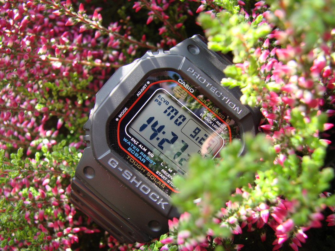 DSC08845.jpg
