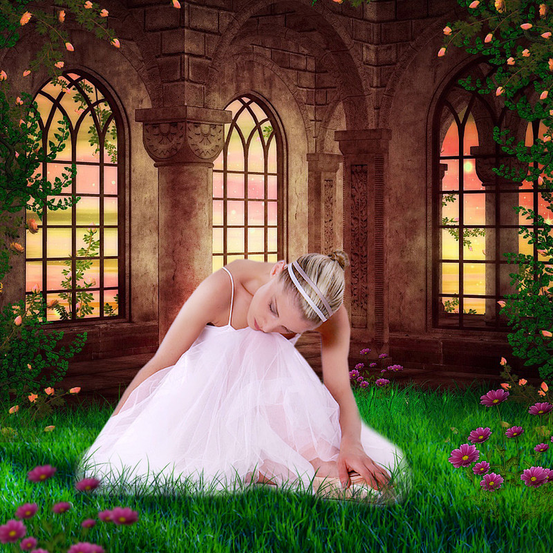 send-rolled-10-_X8-_Old-_Castle-_Interior-_Backdrop-pink-rose-buildin