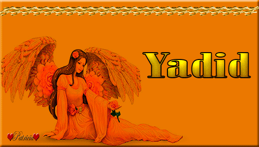 Nombres  que empiecen por la Y - Página 16 Yadid(M)