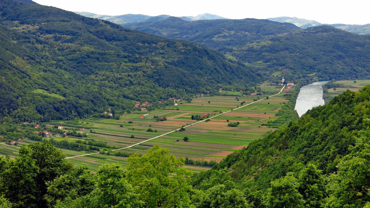 145.jpg