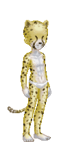 Cheetah.gif