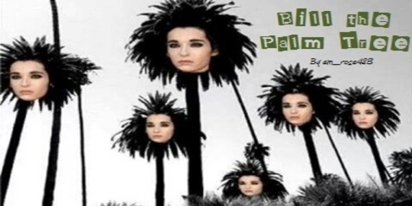 Bill the Palm Tree Bill the Palm Tree