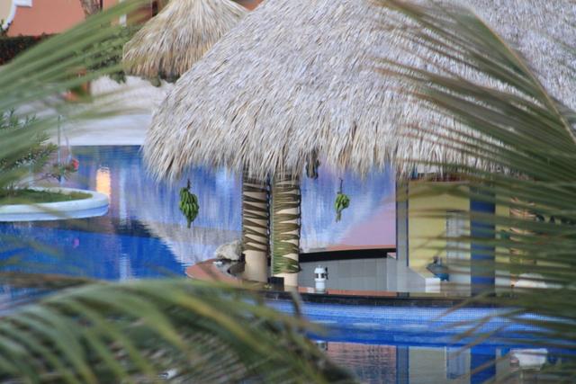 Hotel Bahia Principe Bavaro Premier y Club Hacienda - Blogs de Dominicana Rep. - DÍA 2 - HOTEL BAHÍA PRÍNCIPE BÁVARO CLUB HACIENDA (6)