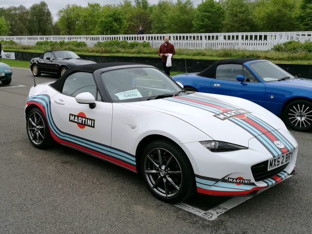 Martini Stripes