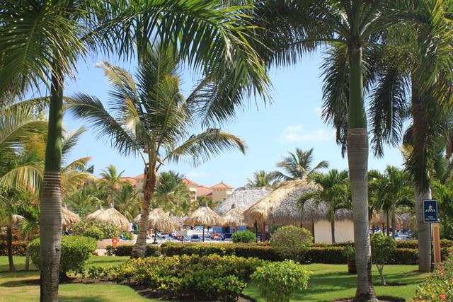 DÍA 8 - HOTEL BAHÍA PRÍNCIPE BÁVARO CLUB HACIENDA Y VUELO DE VUELTA - Hotel Bahia Principe Bavaro Premier y Club Hacienda (15)