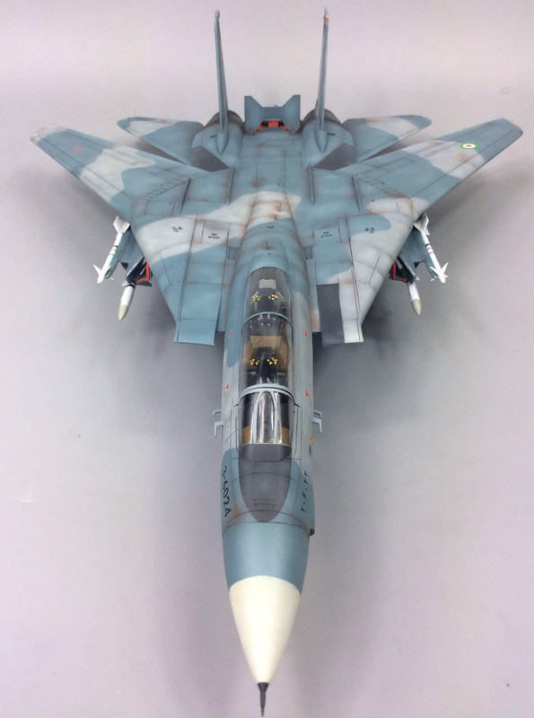 1/48 IRIAF F-14A Ali cat - Ready for Inspection - Aircraft ...