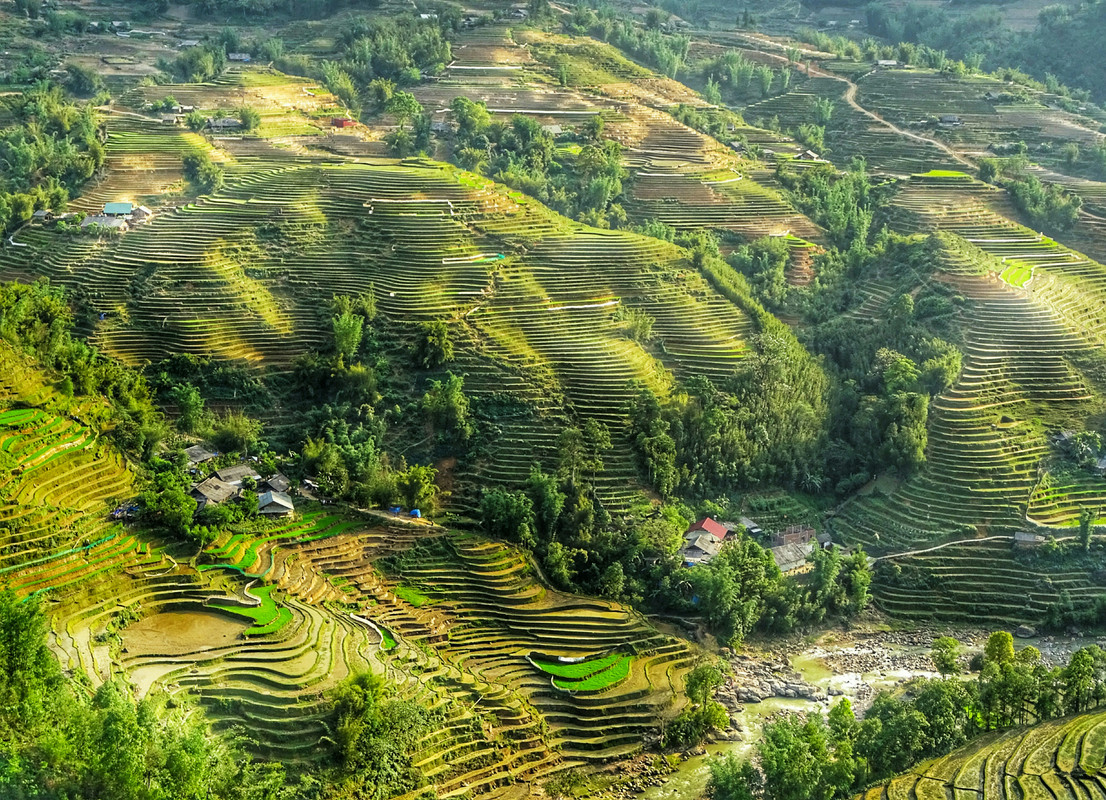 3 SEMANAS VIETNAM Y LAOS viajando solo - Blogs of Vietnam - Vietnam - Sapa Trekking (7)