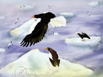 Stellar sea eagles painting