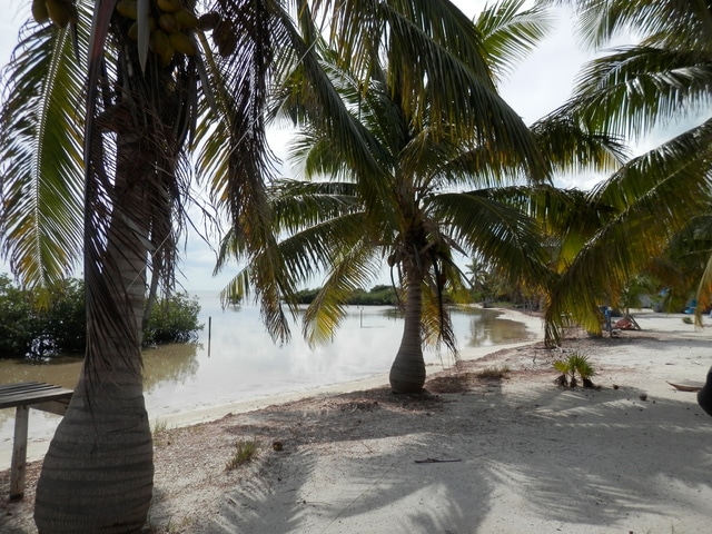 Costa Maya: otro destino del Caribe mexicano, rutas, hoteles - Foro Riviera Maya y Caribe Mexicano