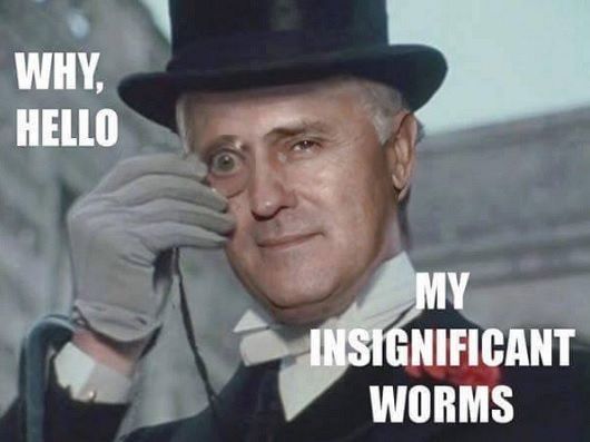 turnbull01.jpg