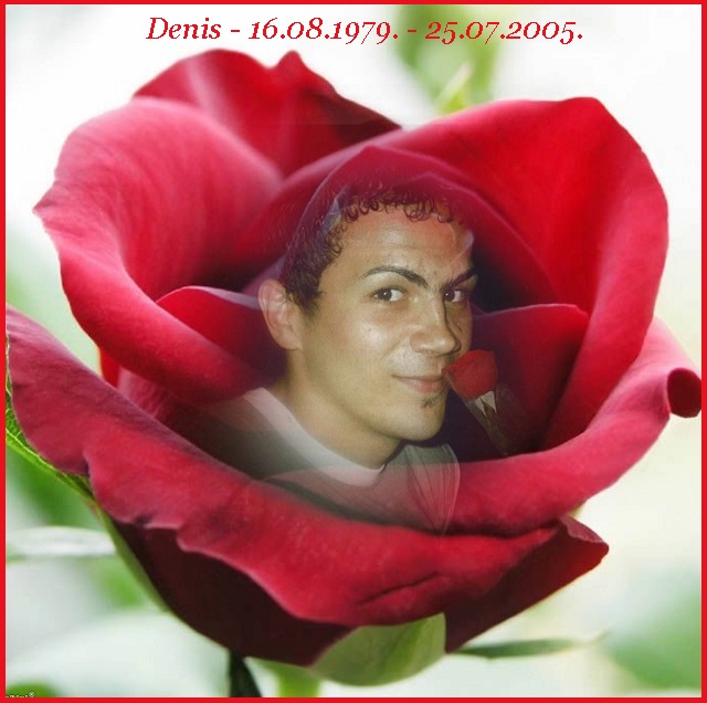 Denis_-2zx_Da-79k_XL_-_red_rose