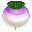 Turnip.png