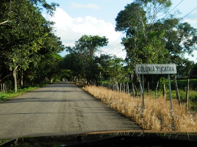 Colonia Yucatán. Pasado de maderas preciosas y cenote. - 21 días por Yucatán para iniciados (en construcción) (1)
