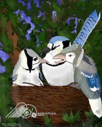 blue jay family in nest painting