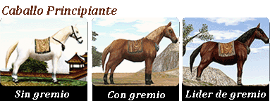 caballo_principiante.gif