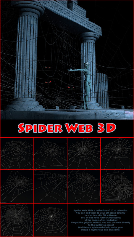 Spider Web 3D