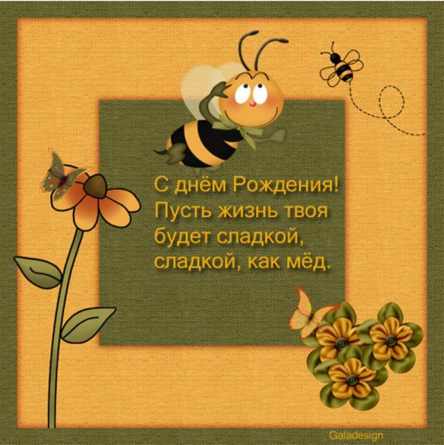 Пчелка С Днем Рождения Картинки