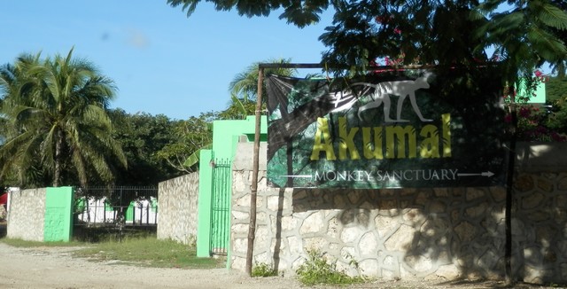 Uxuxubi, Felipe Carrillo Puerto, Chacchobén y Uchben Kah. - 21 días por Yucatán para iniciados (en construcción) (3)