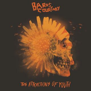 Barns Courtney - The Attractions of Youth (2017).mp3 - 320 Kbps