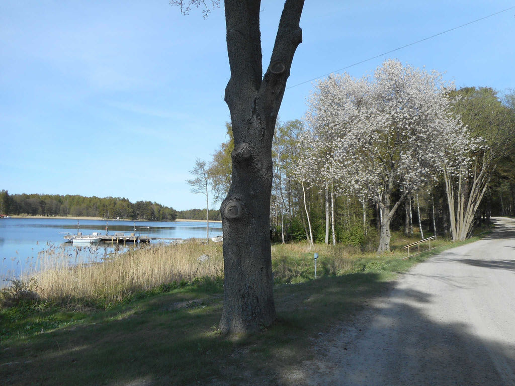 Vägen från Spränga, ägarens privata brygga