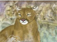 big cat Cougar painting