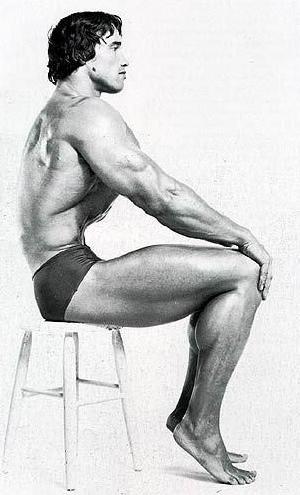 vacun_arnold_01.jpg