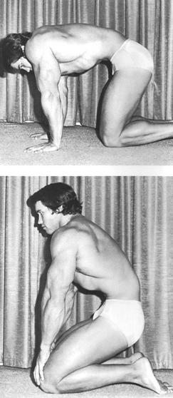vacun_arnold_02.jpg