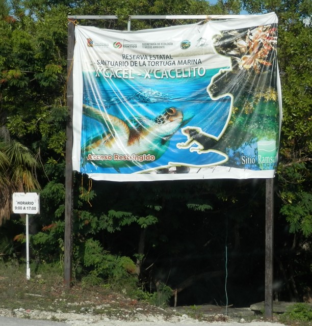 Tulum. Xcacelito. Yal-Ku y Cozumel. - 21 días por Yucatán para iniciados (en construcción) (6)