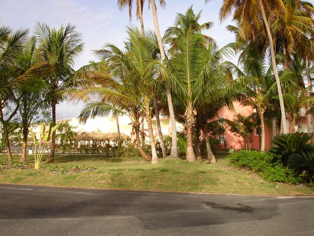 The Royal Suite Turquesa by Palladium - Blogs de Dominicana Rep. - DIA 3 (8)