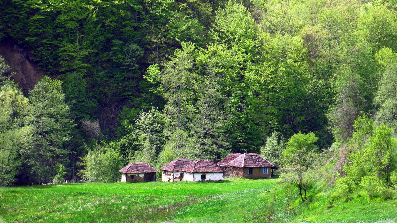 124.jpg