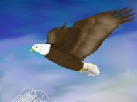 bald eagle soaring high in the sky painting
