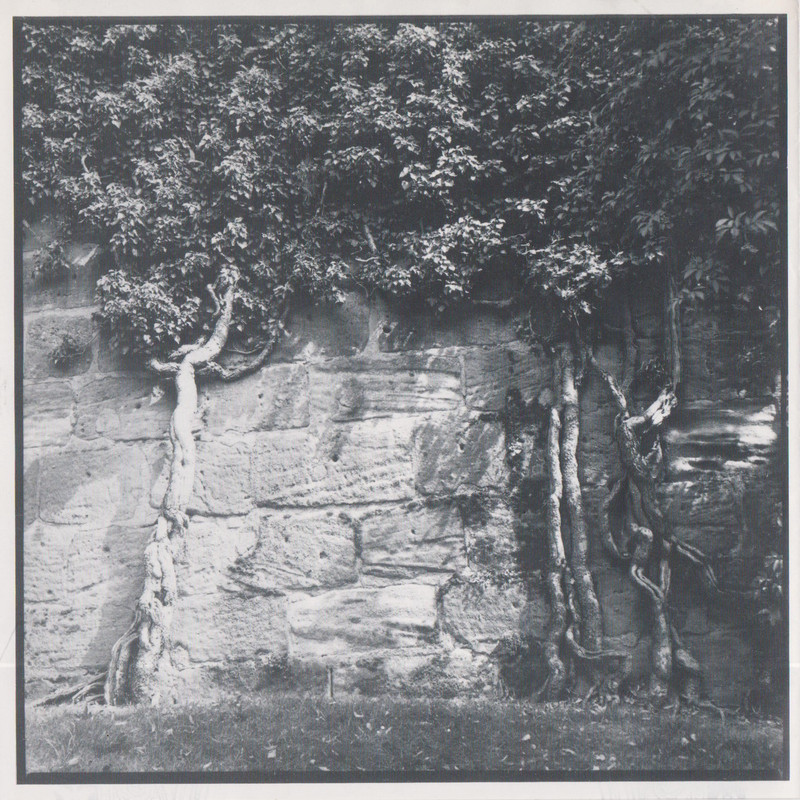 https://s26.postimg.cc/tk5wdflkp/inner_gatefold_left_panel.jpg