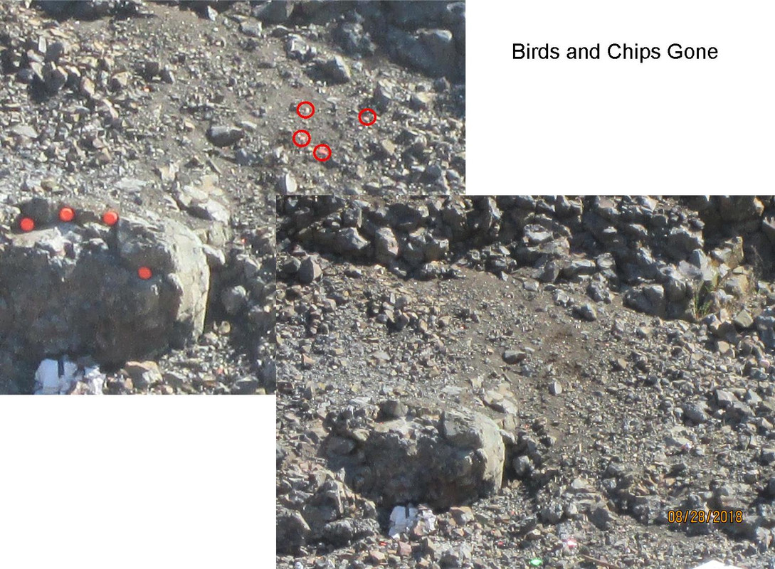 Birds_Chips_-_gone.jpg