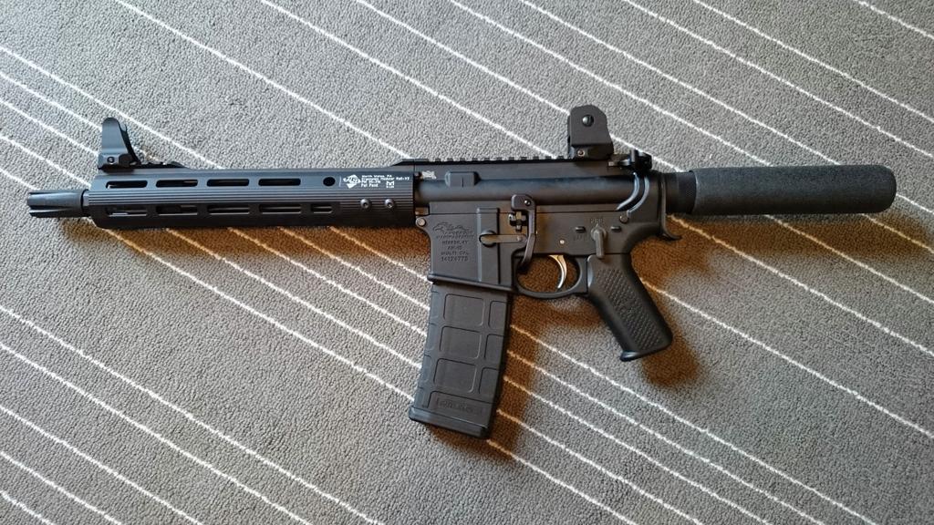 Truck rifle build - AR15.COM