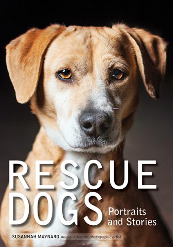 Rescue Dogs Portraits and Stories